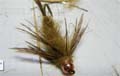 mucha Stonefly